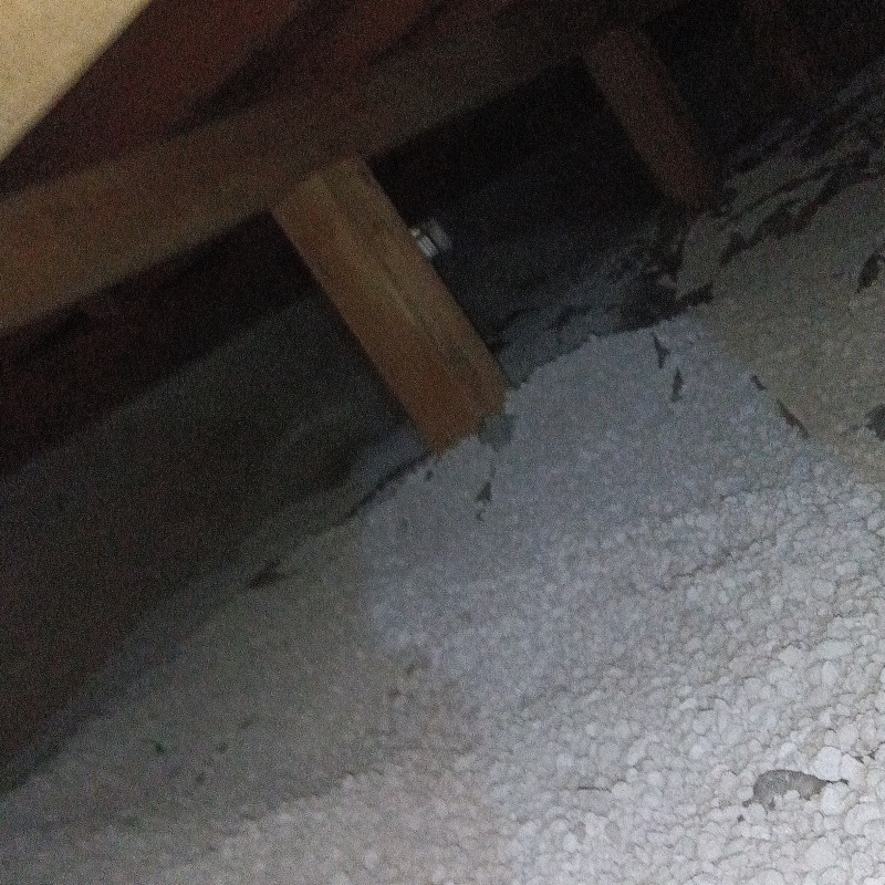 シロアリ駆除の施工事例（東京都昭島市）