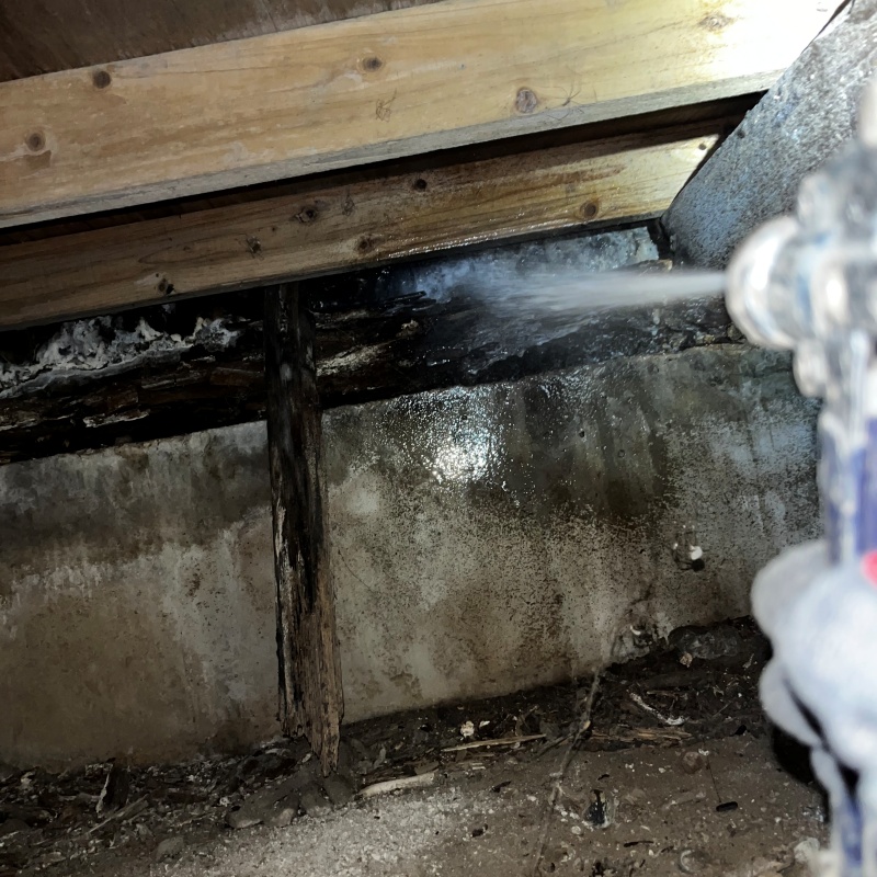 傷んだ木材にシロアリ駆除剤を吹きつけている様子