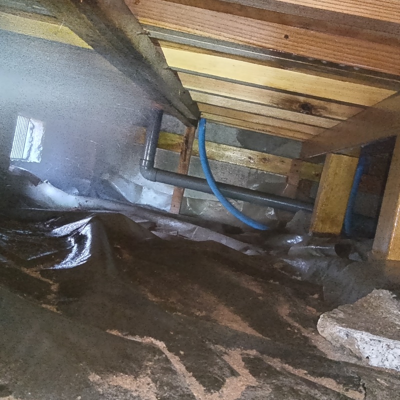 シロアリ駆除の施工事例（群馬県伊勢崎市）
