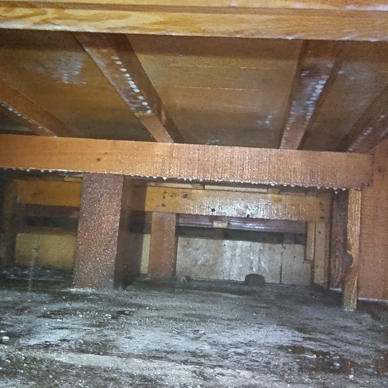 基礎にシロアリ駆除剤をまんべんなく散布