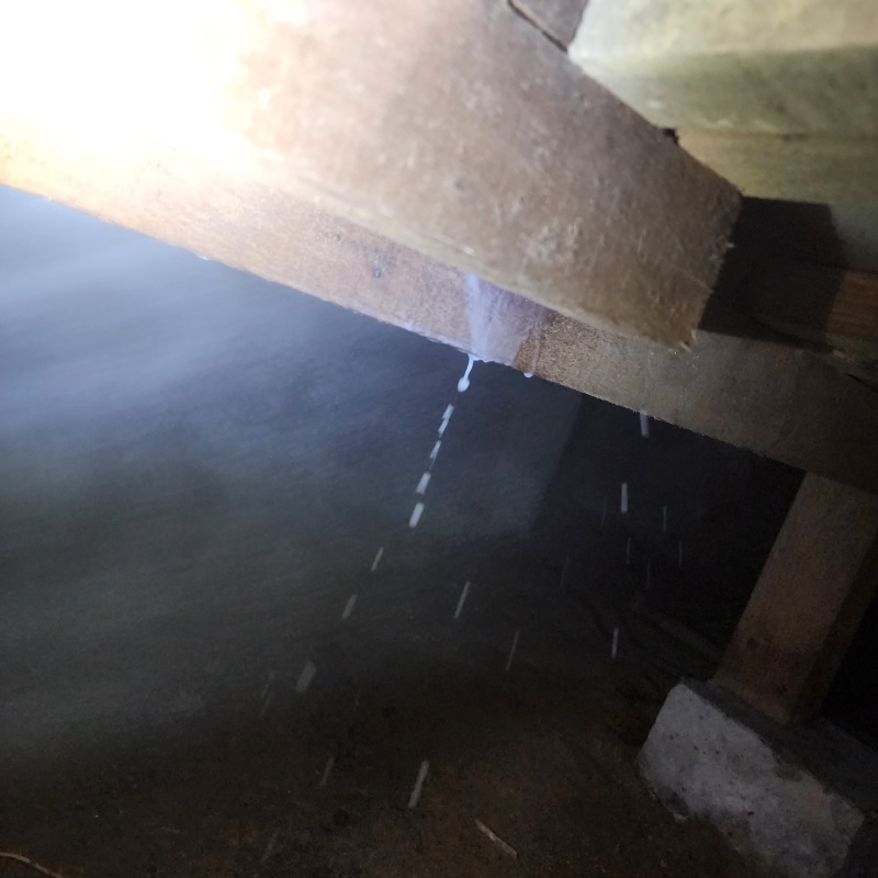 シロアリ予防の施工事例（大阪府泉佐野市松原）