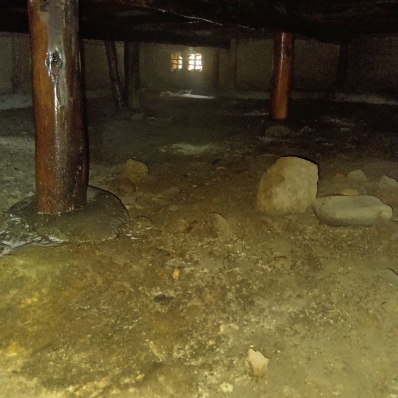 地面・基礎にシロアリ駆除剤を散布した様子