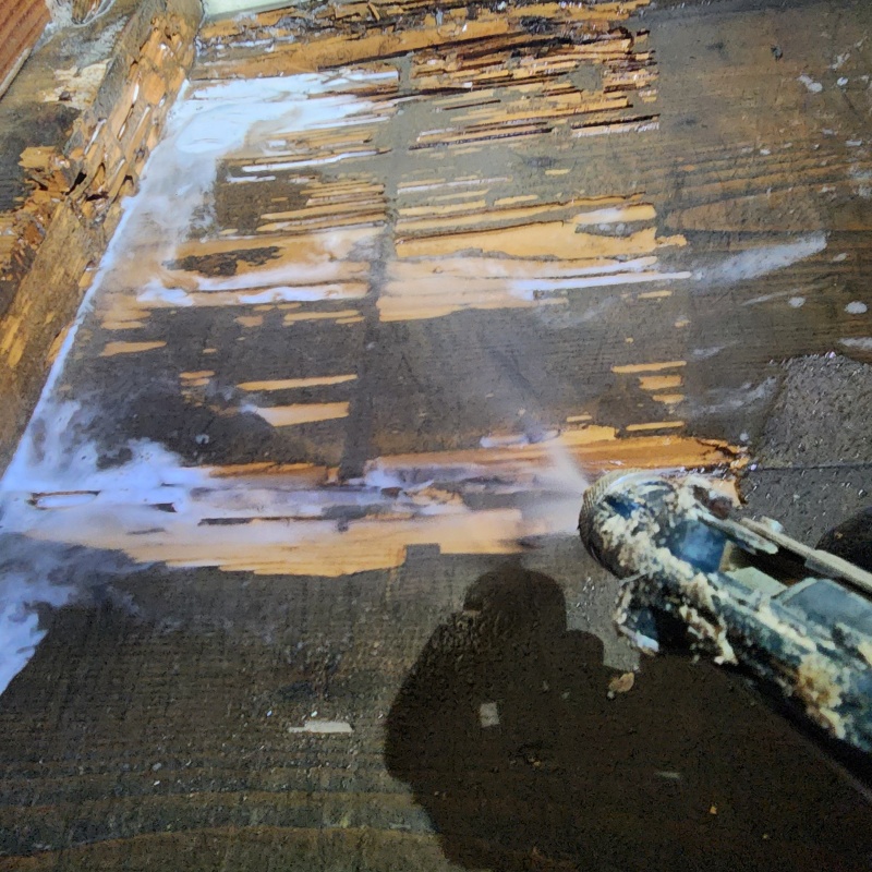 築年数-年のシロアリ駆除の施工事例（京都府京都市下京区天満町）