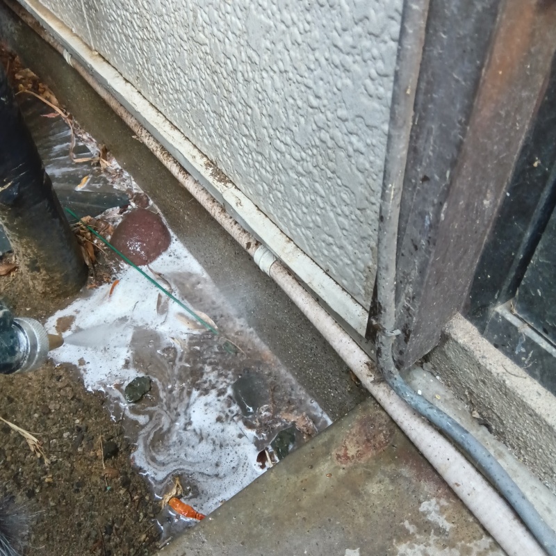 敷地内の地面にシロアリ駆除剤を散布