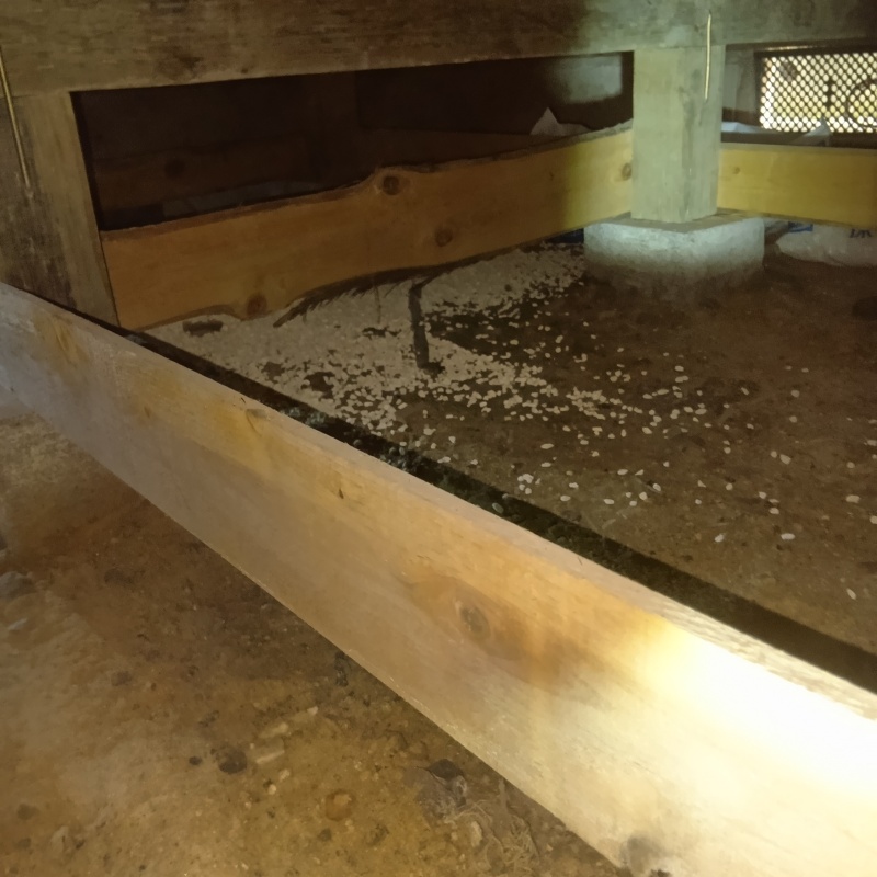 調湿材を敷く前の床下