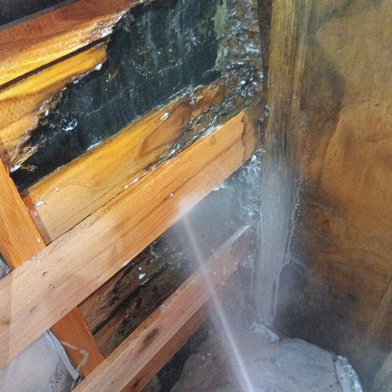 床下の木材にシロアリ駆除剤を散布する様子