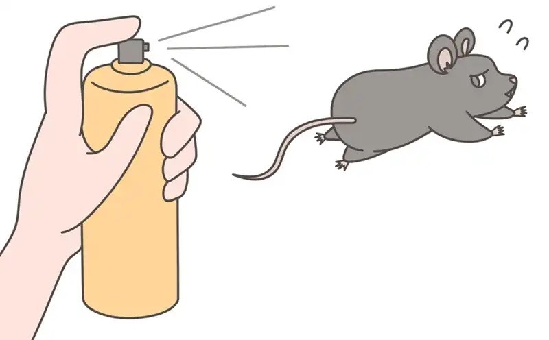 ネズミを見ずに家から追い出す方法