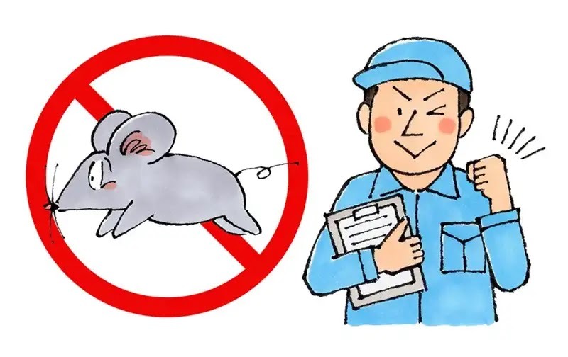 プロがおこなうネズミの追い出し手順