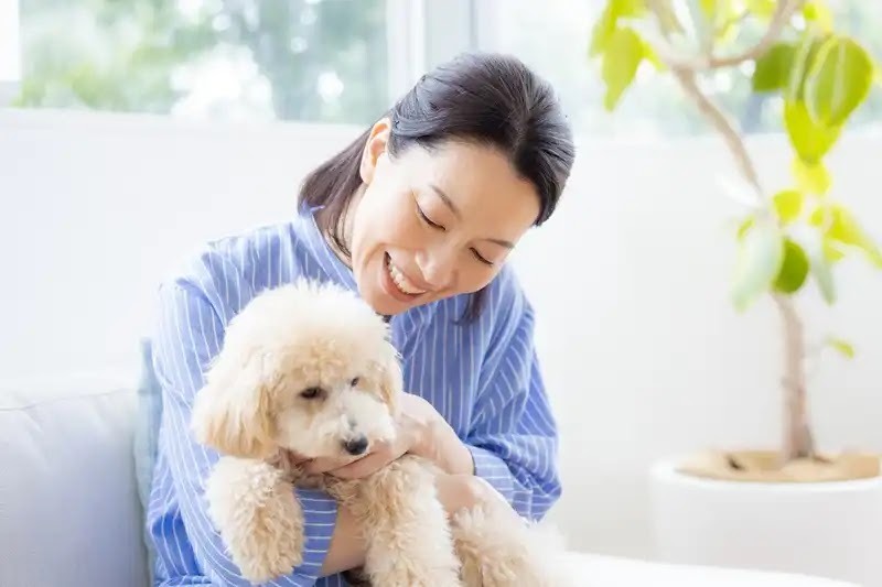 ネズミ駆除用の超音波はペットに聞こえる可能性大