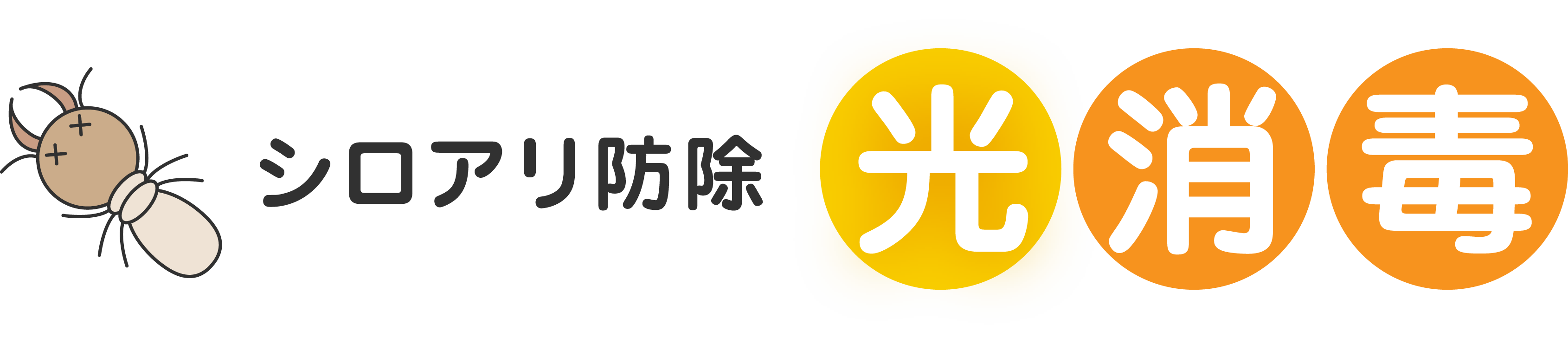 シロアリ防除 光消毒