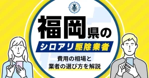 福岡県のシロアリ駆除業者おすすめ8選！駆除費用相場や業者の選び方のポイントについても解説