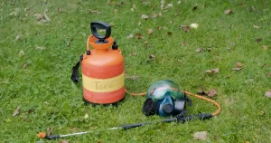 シロアリ予防の方法！誰でもできる4つのポイントとプロとの違い