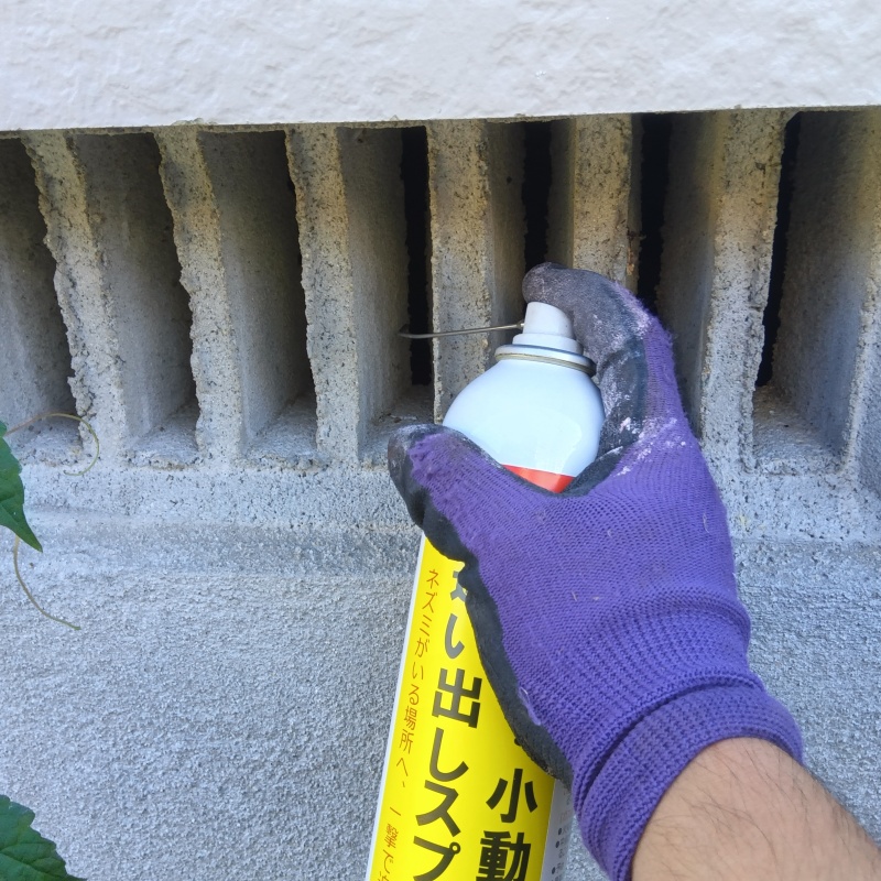 ネズミ駆除の施工事例（熊本県荒尾市荒尾）