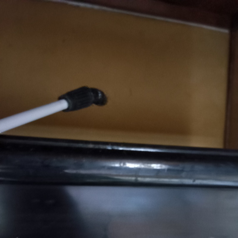 殺虫剤を吹き付けている様子