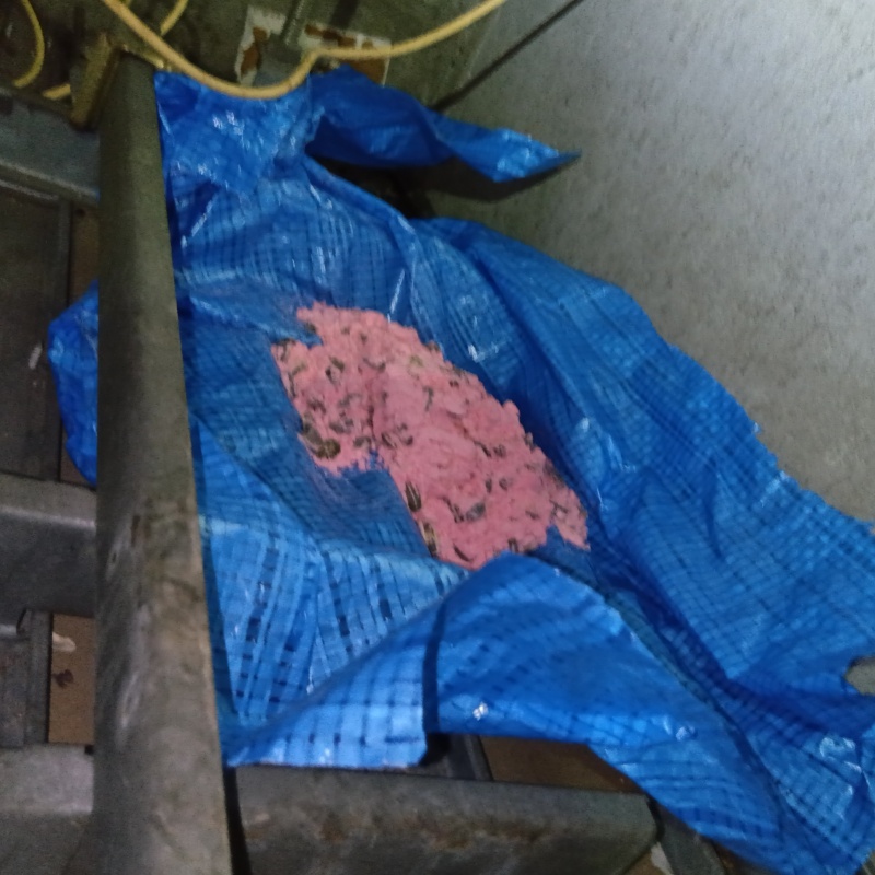 ブルーシートの上に殺鼠剤を設置
