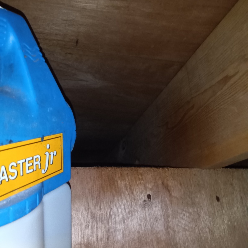噴霧器で除菌剤を散布