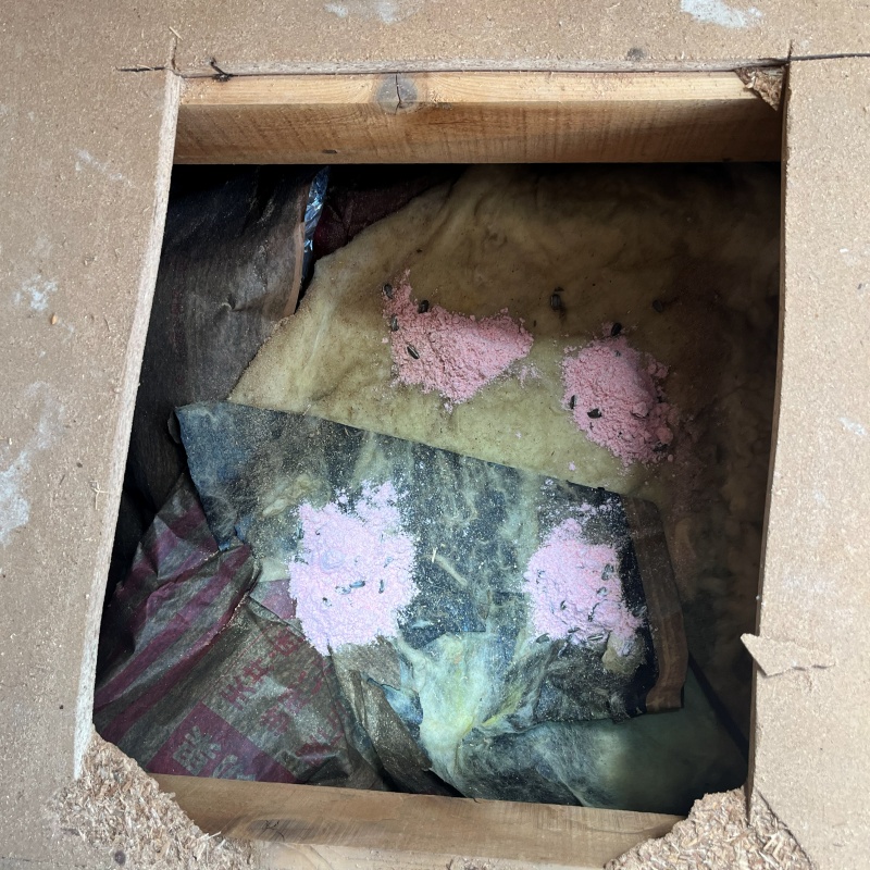 殺鼠剤を設置