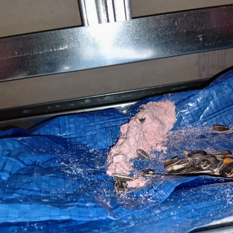 ネズミが殺鼠剤を食べたあと