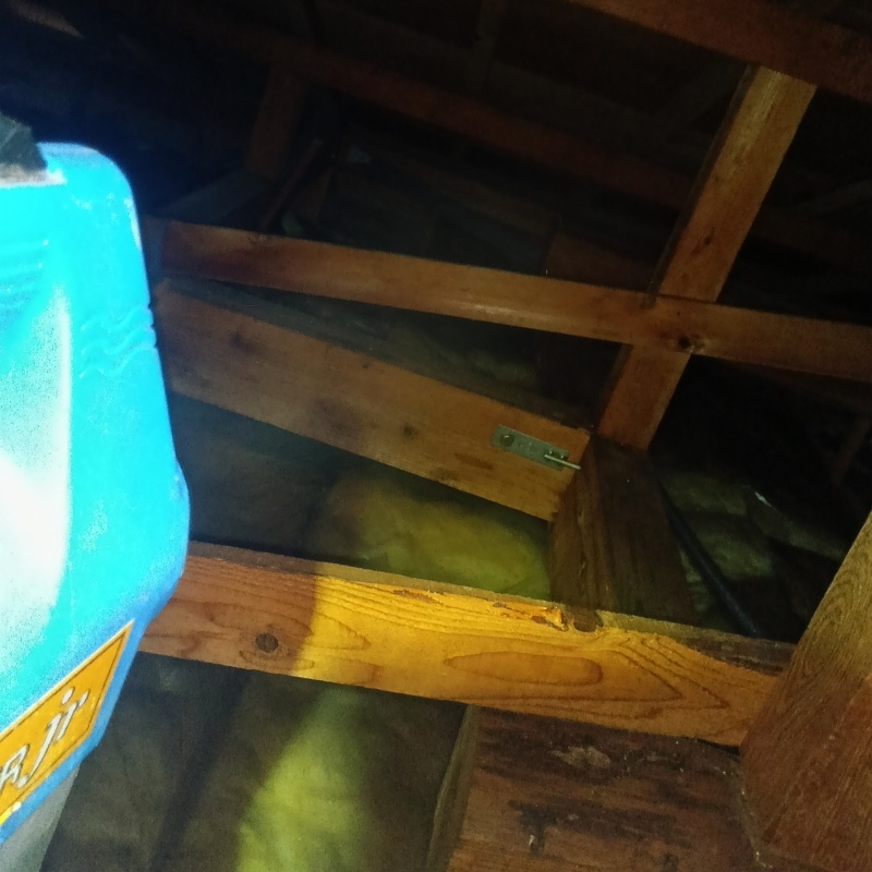 天井裏を噴霧器で除菌・消臭