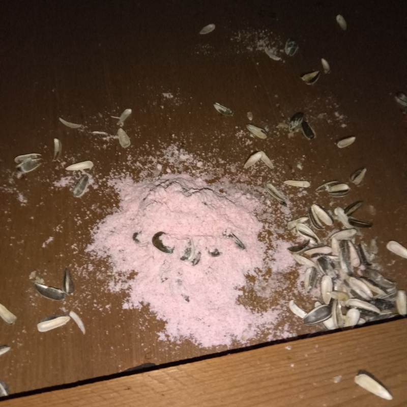 ネズミが殺鼠剤を食べたあと