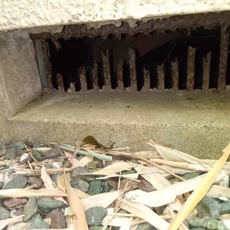 侵入口になっていた床下換気口