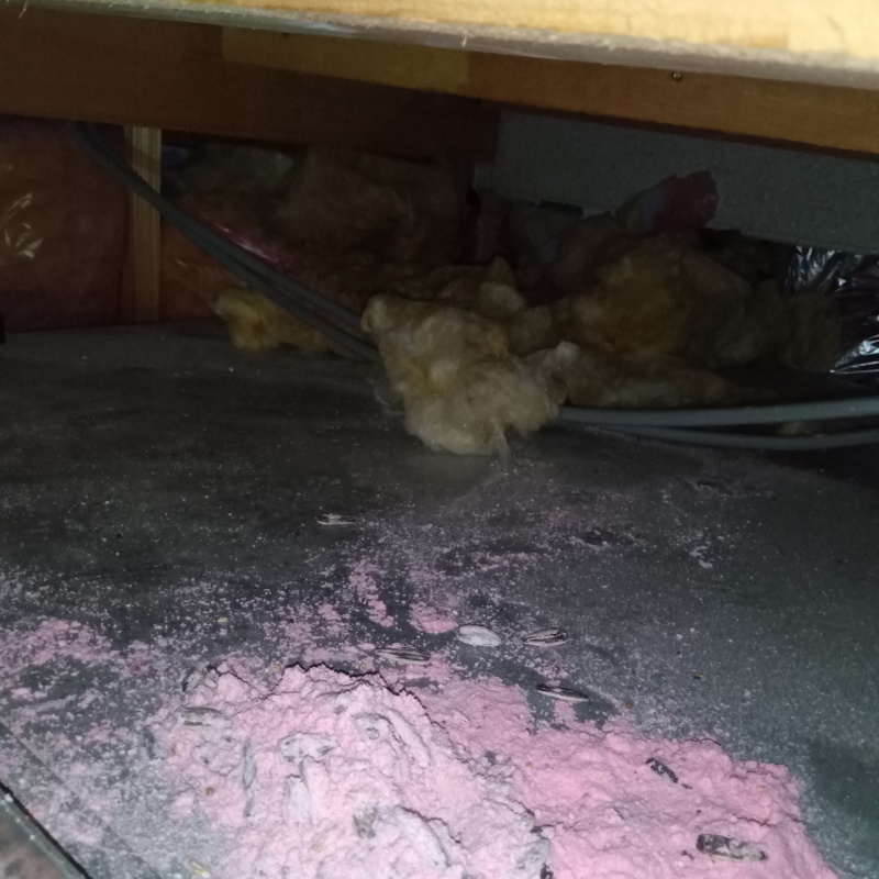 ネズミが殺鼠剤を食べたあと
