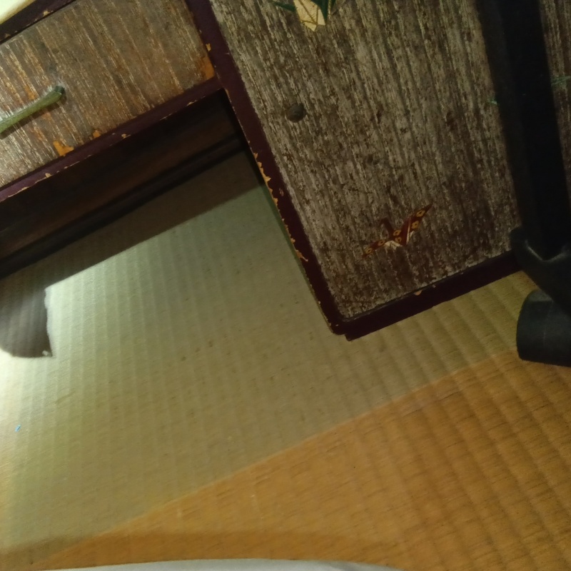 室内を清掃