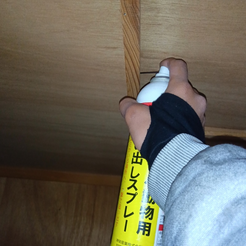 忌避剤を吹き付けている様子