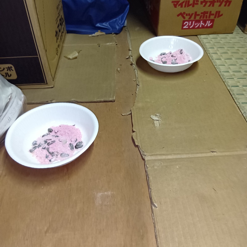 殺鼠剤を設置