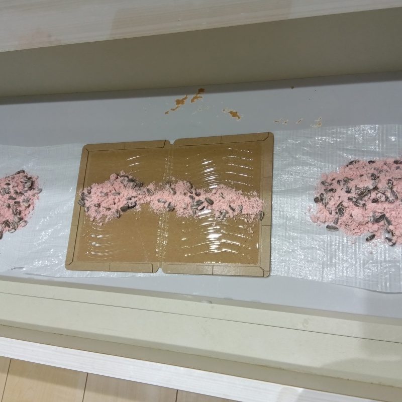 粘着シートの上に殺鼠剤を設置