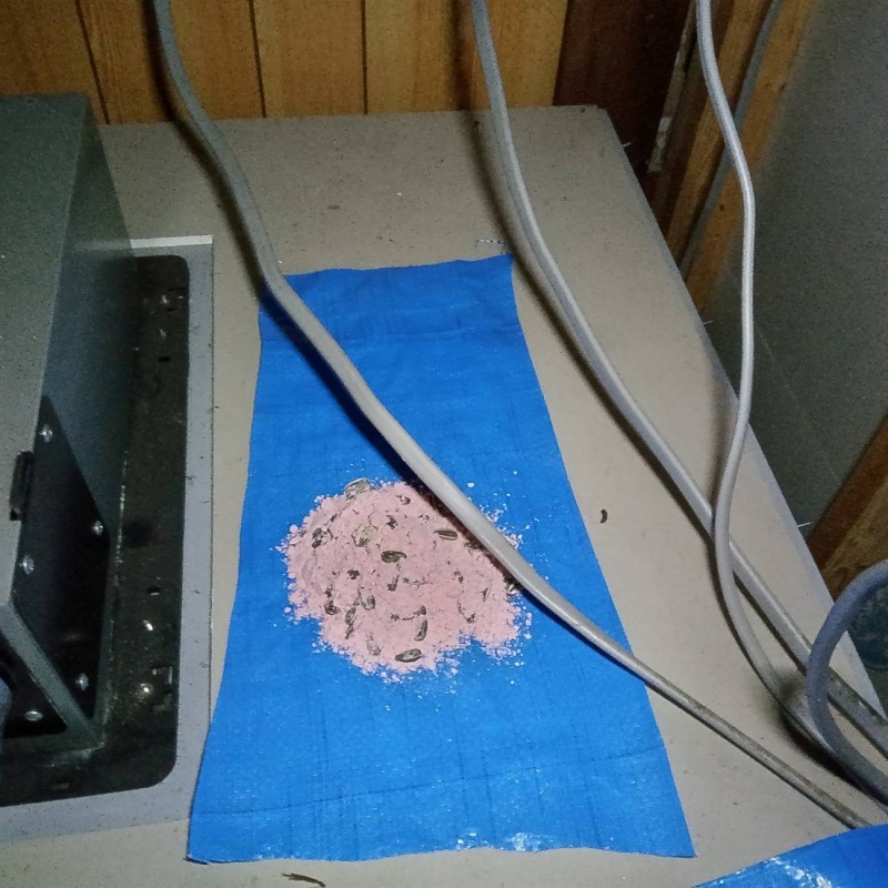 殺鼠剤を設置
