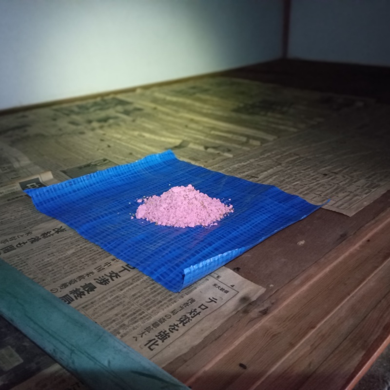 殺鼠剤を設置