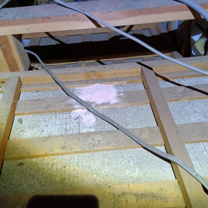 ネズミが殺鼠剤を食べたあと
