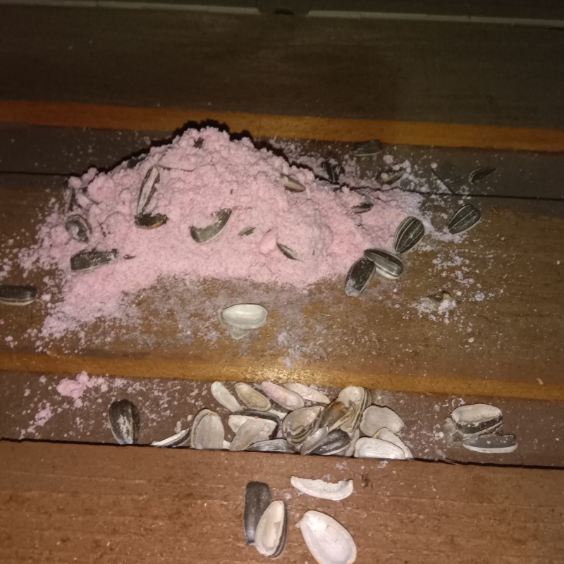殺鼠剤を設置