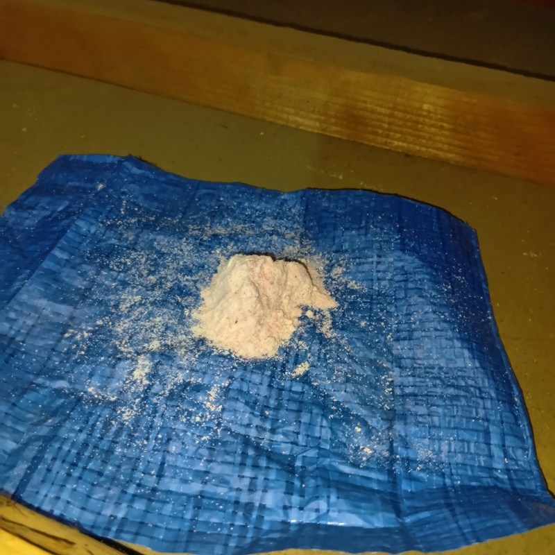 殺鼠剤を仕掛けている様子