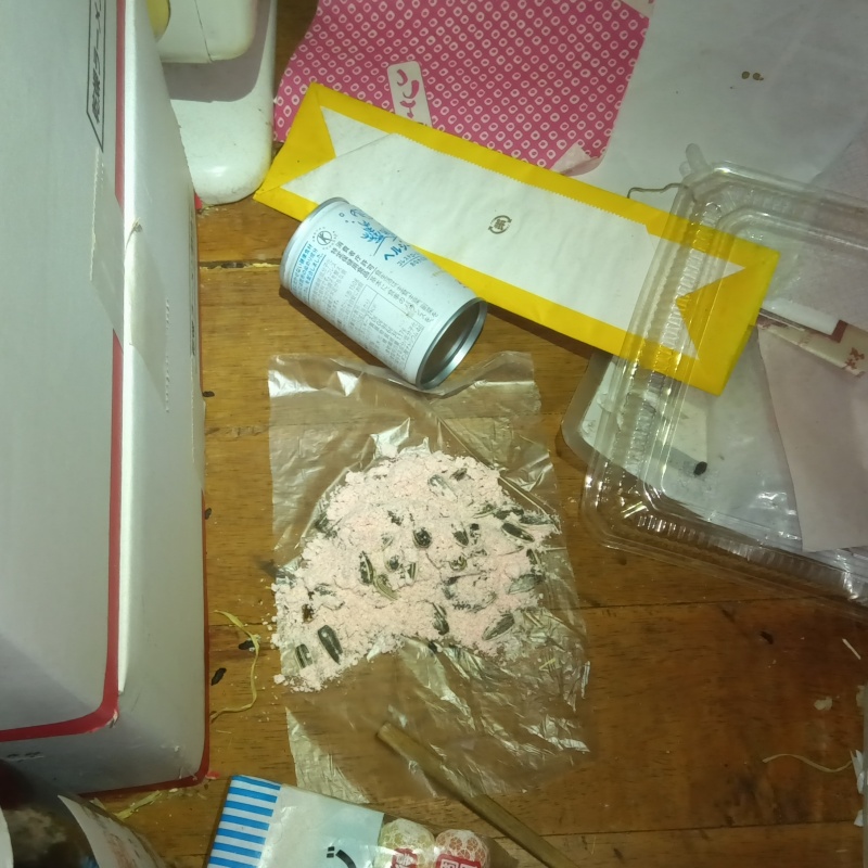 殺鼠剤を設置