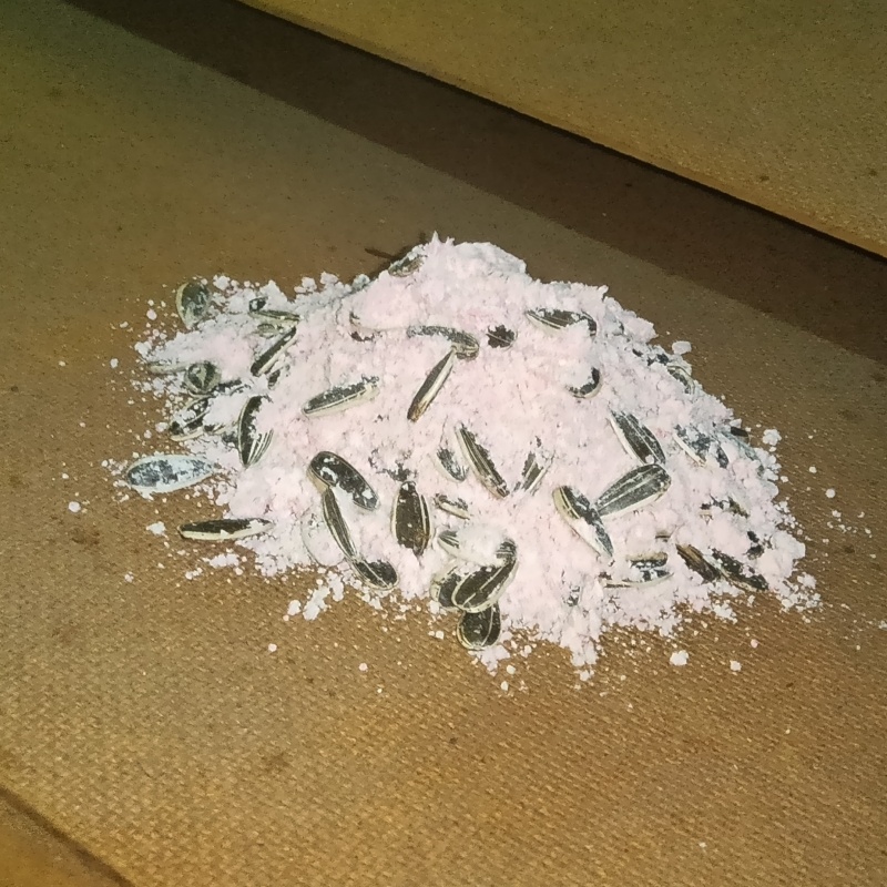 殺鼠剤を設置