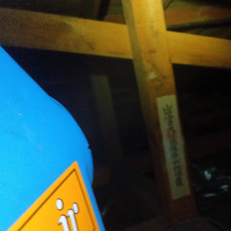 噴霧器で殺虫剤を散布