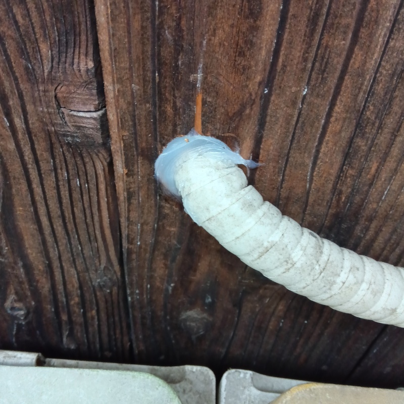 壁のすき間を封鎖