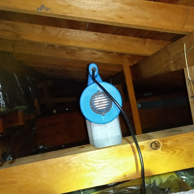 天井裏を噴霧器で除菌・消臭