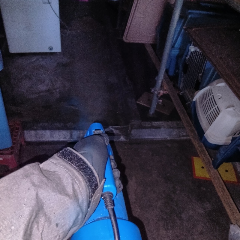 噴霧器で除菌剤を散布