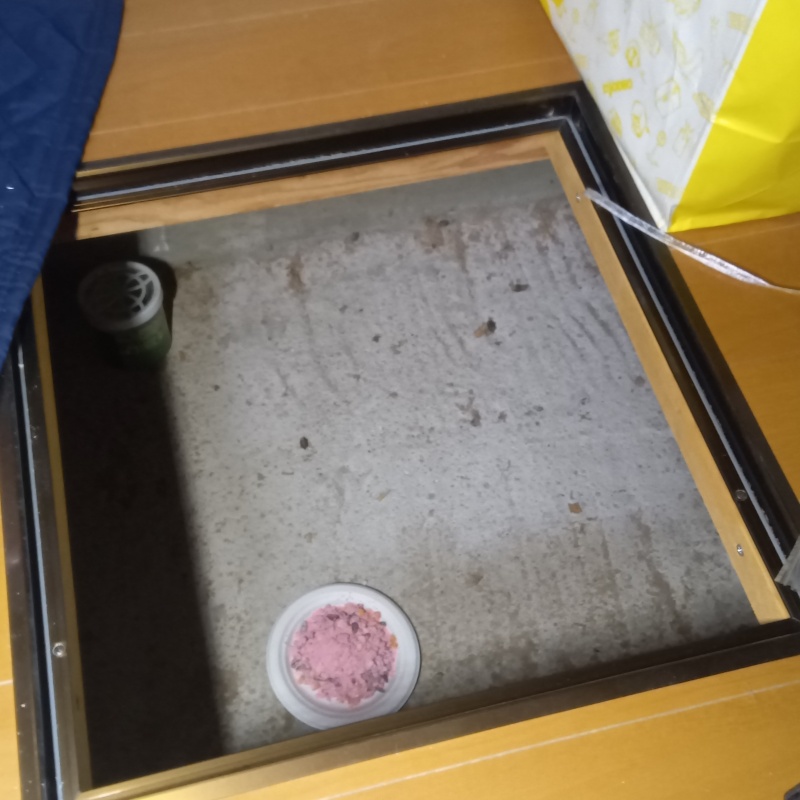 床下に殺鼠剤を設置