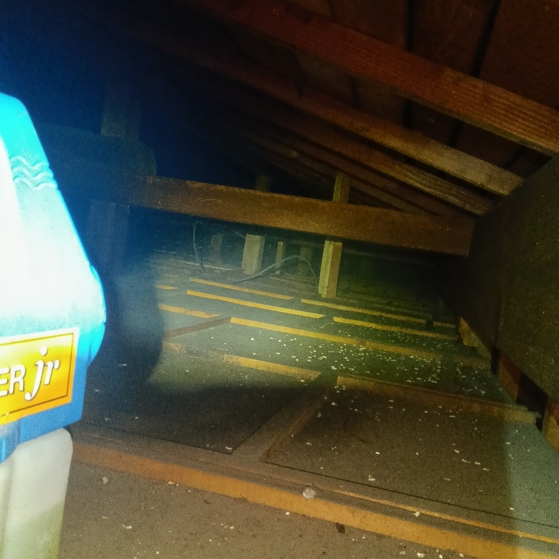 噴霧器で殺虫剤を散布