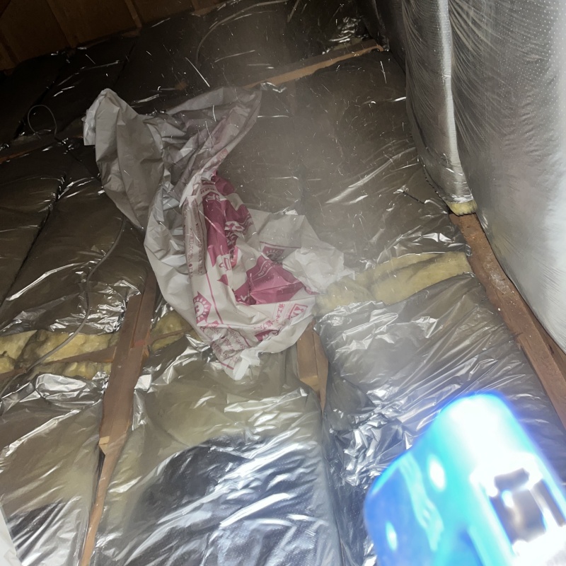 噴霧器で除菌剤を散布