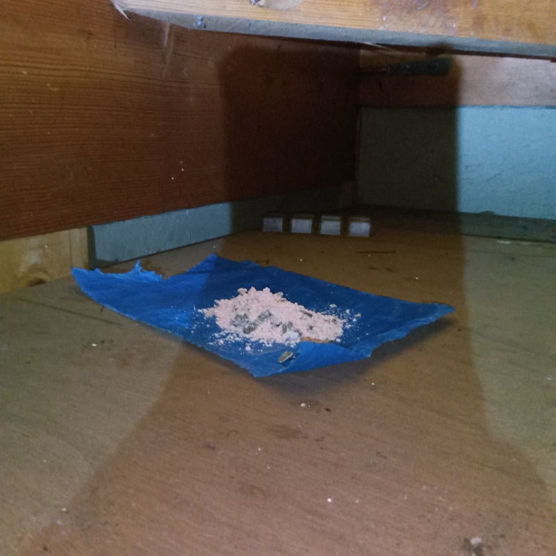 殺鼠剤を設置
