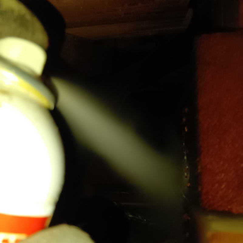 忌避剤を吹き付けている様子