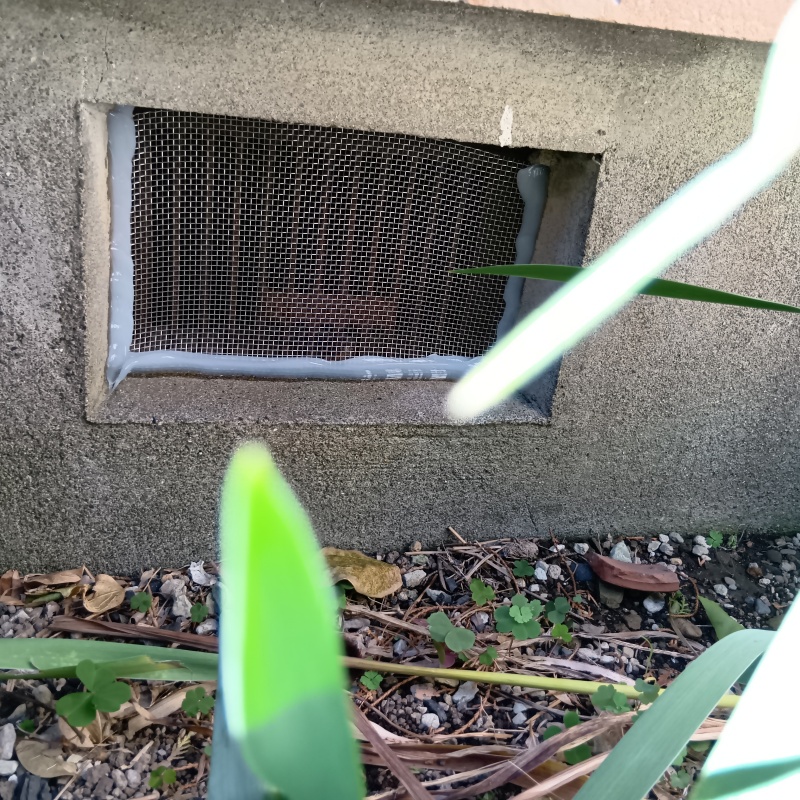 床下換気口をネットとパテで封鎖