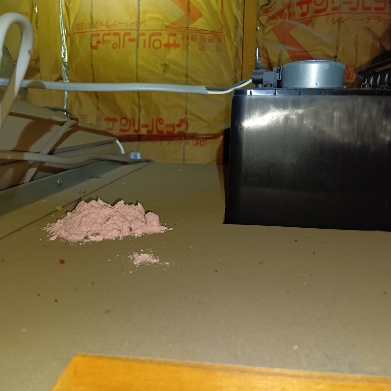 殺鼠剤を設置