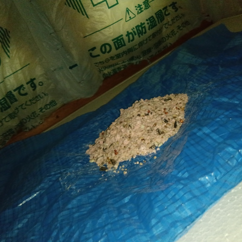 ブルーシートの上に殺鼠剤を設置