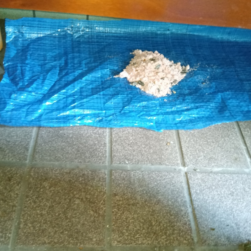 殺鼠剤を設置